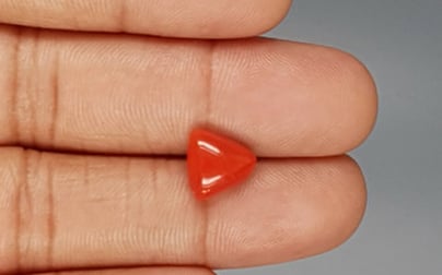 Italian Red Coral - 3.37 Carat Limited Quality TC-5276