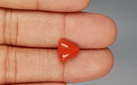 Italian Red Coral - 3.37 Carat Limited Quality TC-5276