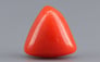 Italian Red Coral - 3.37 Carat Limited Quality TC-5276