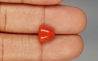 Italian Red Coral - 3.38 Carat Limited Quality TC-5265