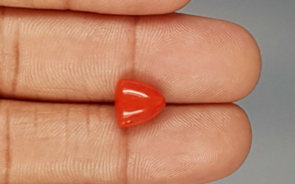 Italian Red Coral - 3.38 Carat Limited Quality TC-5265