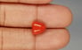 Italian Red Coral - 3.38 Carat Limited Quality TC-5265