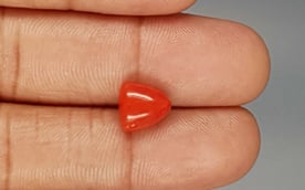 Italian Red Coral - 3.38 Carat Limited Quality TC-5265