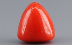 Italian Red Coral - 3.38 Carat Limited Quality TC-5265