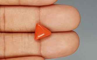 Italian Red Coral - 3.38 Carat Prime Quality TC 5243