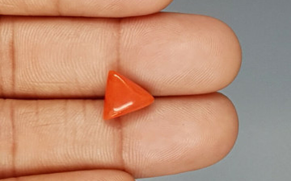 Italian Red Coral - 3.38 Carat Prime Quality TC 5243