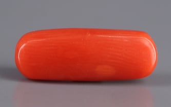 Italian Red Coral - 3.4 Carat Fine Quality CC-5599 