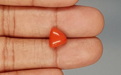 Italian Red Coral - 3.4 Carat Limited Quality TC-5285