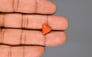 Italian Red Coral - 3.4 Carat Prime Quality TC-5053