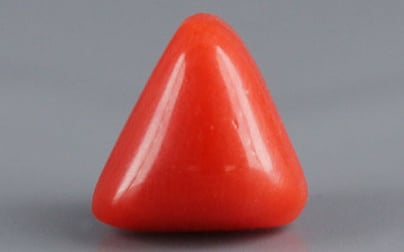 Italian Red Coral - 3.41 Carat Prime Quality TC 5239