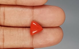 Italian Red Coral - 3.48 Carat Limited Quality TC-5279