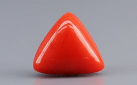 Italian Red Coral - 3.48 Carat Limited Quality TC-5279