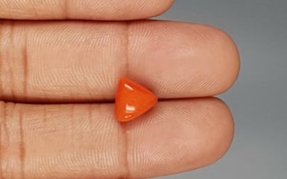 Italian Red Coral - 3.5 Carat Limited Quality TC-5278