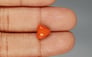 Italian Red Coral - 3.5 Carat Limited Quality TC-5278