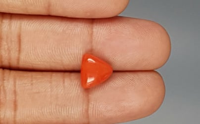 Italian Red Coral - 3.54 Carat Limited Quality TC-5270