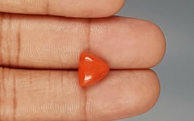 Italian Red Coral - 3.54 Carat Limited Quality TC-5270