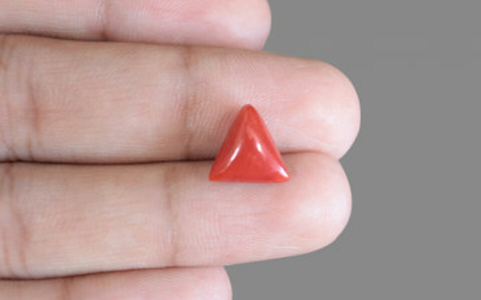 Italian Red Coral - 3.54 Carat Prime Quality TC-5188