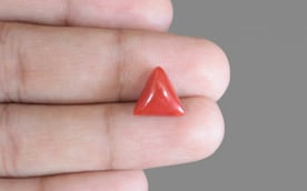 Italian Red Coral - 3.54 Carat Prime Quality TC-5188