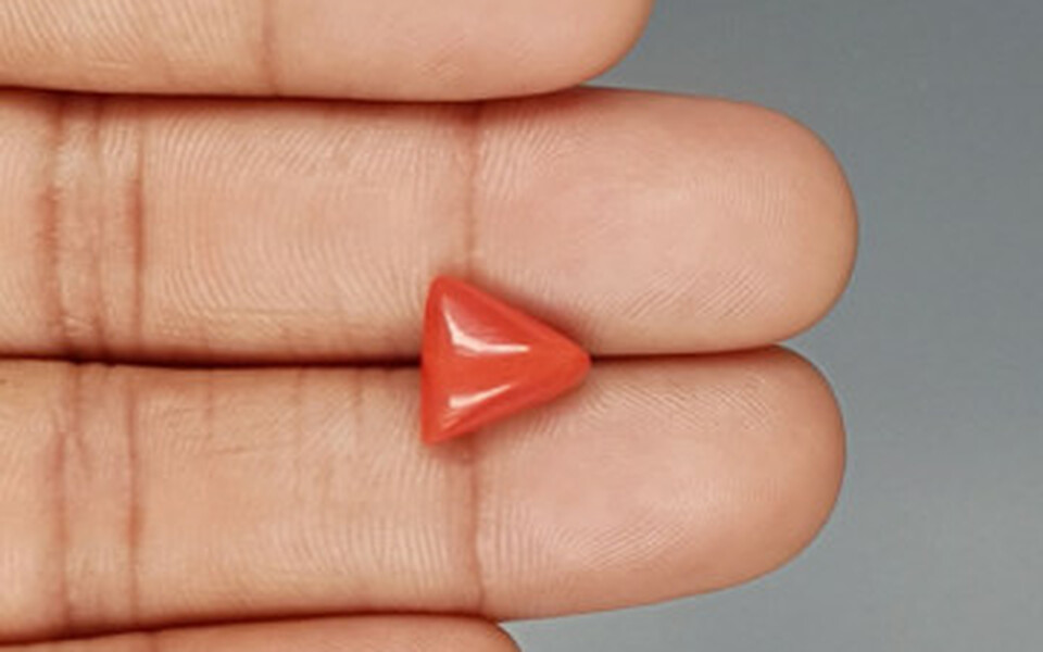 Italian Red Coral - 3.56 Carat Prime Quality TC 5237