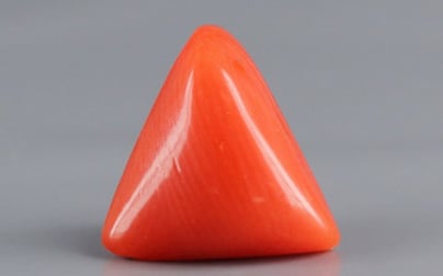 Italian Red Coral - 3.56 Carat Prime Quality TC 5237