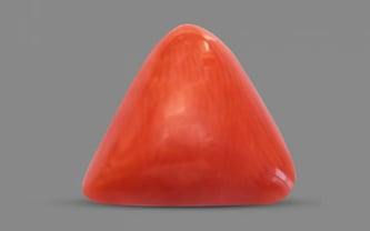 Italian Red Coral - 3.58 Carat Prime Quality TC-5184