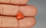 Italian Red Coral - 3.59 Carat Limited Quality TC-5262