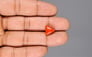 Italian Red Coral - 3.59 Carat Rare Quality TC-5029