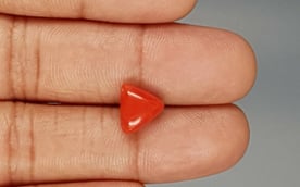 Italian Red Coral - 3.62 Carat Limited Quality TC-5286
