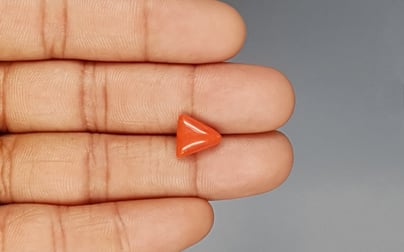 Italian Red Coral - 3.62 Carat Prime Quality TC 5244