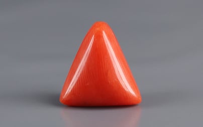 Italian Red Coral - 3.62 Carat Prime Quality TC 5244