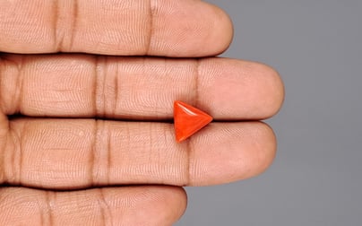 Italian Red Coral - 3.65 Carat Prime Quality TC-5183