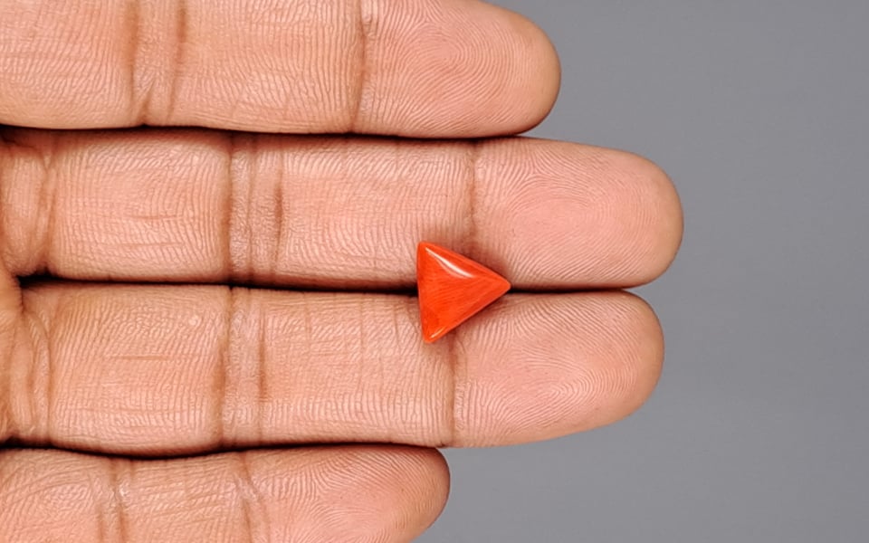 Italian Red Coral - 3.65 Carat Prime Quality TC-5183