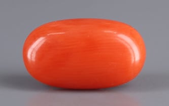 Italian Red Coral - 3.68 Carat Limited Quality CC-5512