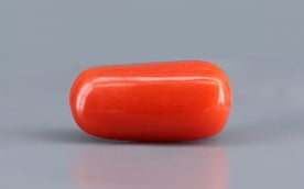 Italian Red Coral - 3.69 Carat Limited Quality CC 5717