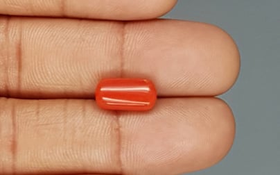 Italian Red Coral - 3.69 Carat Limited Quality CC-5736