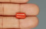 Italian Red Coral - 3.69 Carat Limited Quality CC-5736