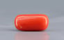 Italian Red Coral - 3.69 Carat Limited Quality CC-5736