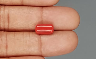 Italian Red Coral - 3.7 Carat Limited Quality CC-5738