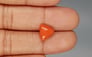 Italian Red Coral - 3.7 Carat Limited Quality TC-5274