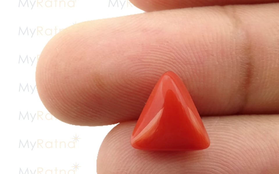 Italian Red Coral - 3.71 Carat Limited Quality TC-5084