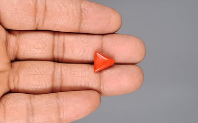 Italian Red Coral - 3.73 Carat Prime Quality TC-5181