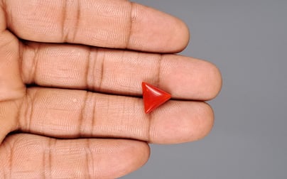 Italian Red Coral - 3.78 Carat Prime Quality TC-5200