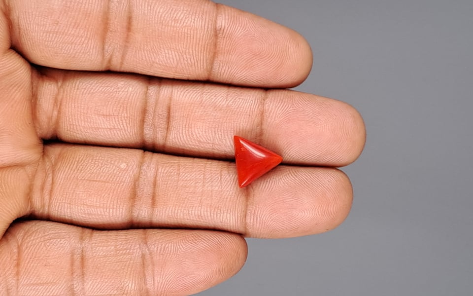 Italian Red Coral - 3.78 Carat Prime Quality TC-5200