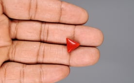 Italian Red Coral - 3.78 Carat Prime Quality TC-5200