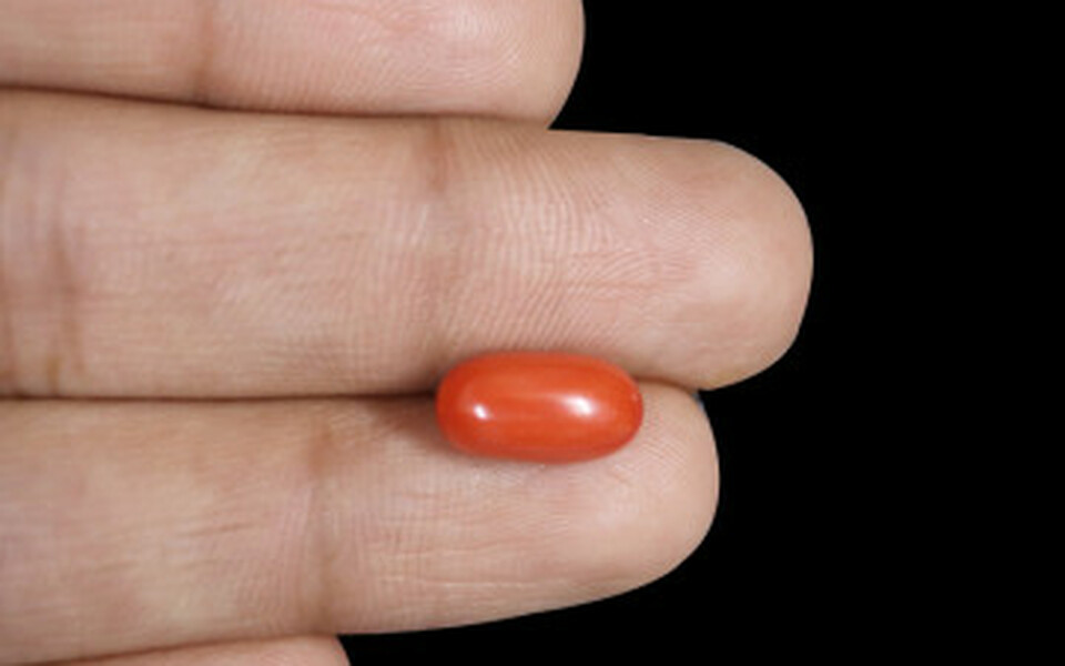 Italian Red Coral - 3.81 Carat Limited Quality CC-5572