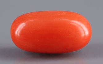 Italian Red Coral - 3.81 Carat Limited Quality CC-5572