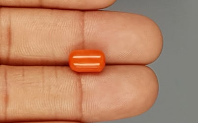 Italian Red Coral - 3.82 Carat Limited Quality CC-5744