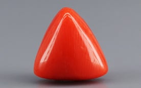 Italian Red Coral - 3.82 Carat Limited Quality TC-5272