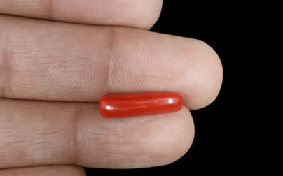 Italian Red Coral - 3.84 Carat Fine Quality CC-5598