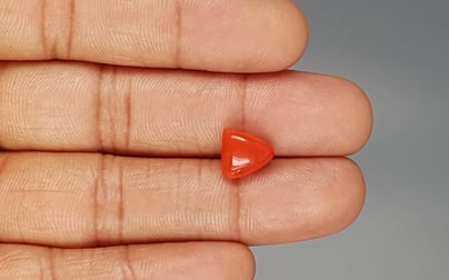 Italian Red Coral - 3.85 Carat Limited Quality TC-5264